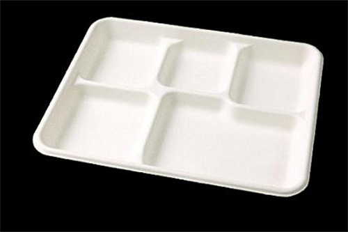 5 compartment tray