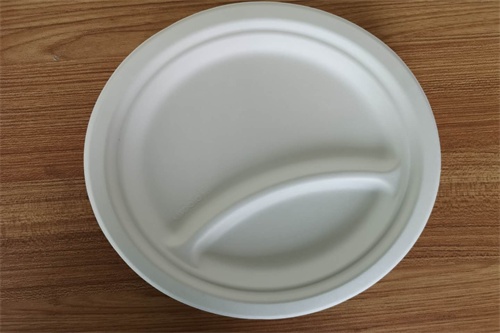 disposable 2 compartment plate