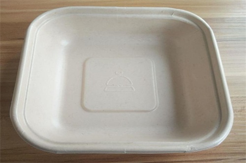 disposable square box