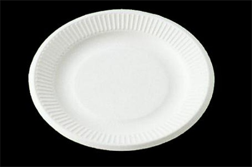 disposable 6inch plate