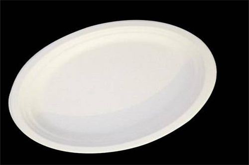 Large Oval Plate