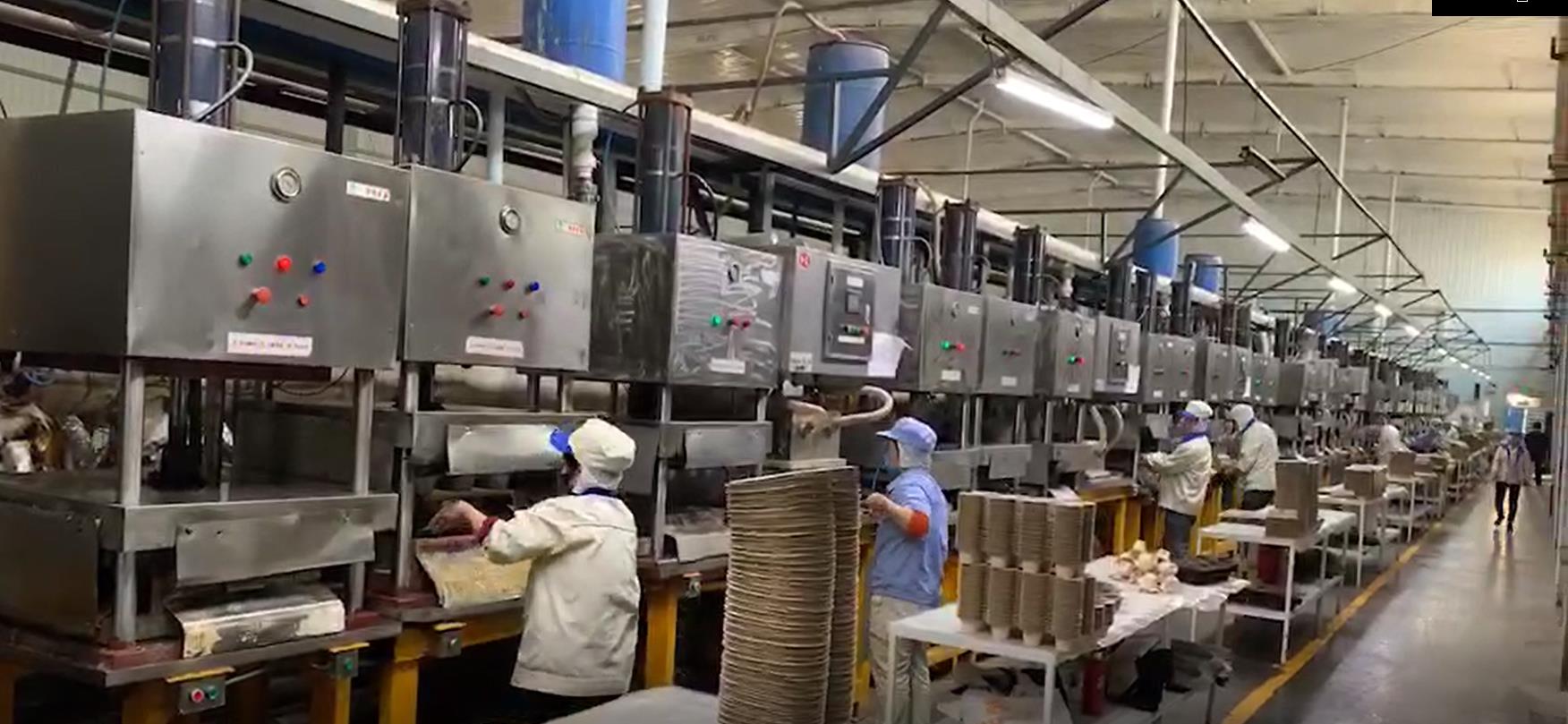 Virgin Biodegradable tableware pressing