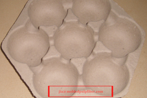 Fruit tray vegetable tray mushroom tray apple tray biodegradable tray