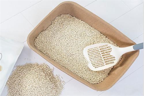 Disposable compostable  cat  litter tray pet box