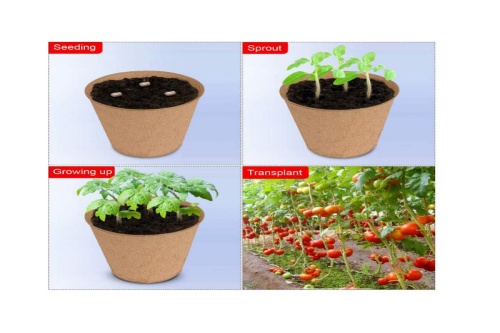 seed tray planter paper pulp flower pot