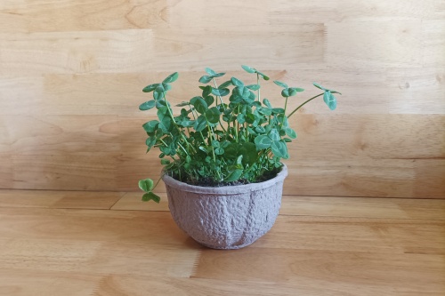 biodegradable paper flower planter decorative flower vase floral pot for centerpiece 